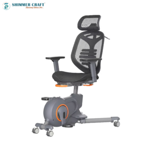 ERGONOMIC FITNESS CHAIR - Image 2