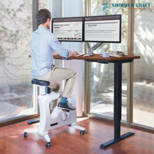 ERGONOMIC DESKSIDE BIKE - Image 1