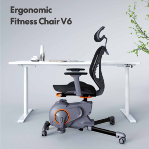 ERGONOMIC FITNESS CHAIR