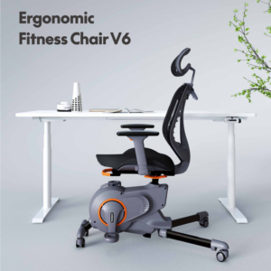ERGONOMIC FITNESS CHAIR - Image 1